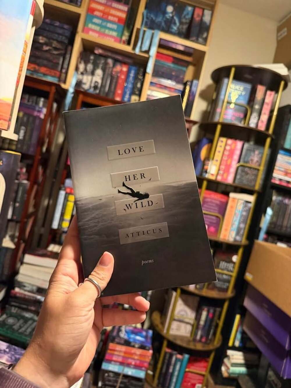 Love Her Wild by Atticus poetry book